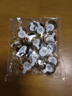 Item thumbnail for item a255543f-a52f-4f68-8305-d8af4fe3052b