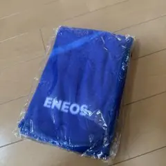 Item thumbnail for item 3c2d0cf3-71e7-4429-ae72-a1ff4afd39d4