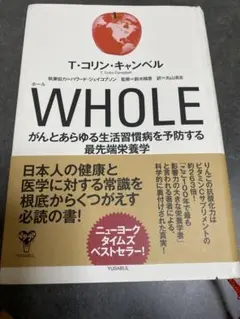 Item thumbnail for item 5958b7e4-b5b7-419b-b72c-310028ef5d62