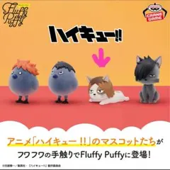 ハイキュー　フラッフィーパフィー　鳥野高校　音駒高校　ケンマネコ　研磨　猫