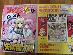 2026年最新】to loveる とらぶる ダークネス dvdの人気アイテム - メルカリ