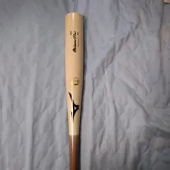 Item thumbnail for item 4cdbf8f0-c894-42ba-9f9d-40053f276cd7