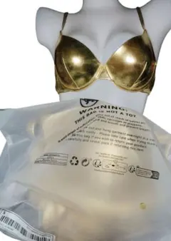 ゴールド光沢特殊生地 　ブラサポートプッシュアップビキニ