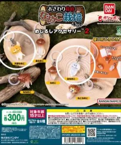 おさわり探偵 なめこ栽培キット2　2個セット　めじるしアクセサリー