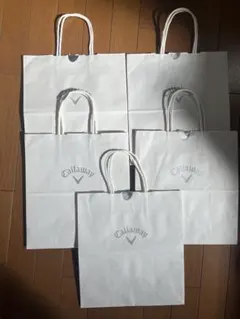 Item thumbnail for item 96ada8ba-b83e-4e86-82ff-dd92c34cd2ae