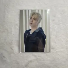 Follow ディノ トレカ