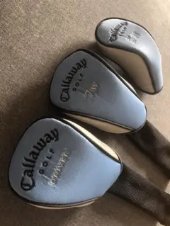 Item thumbnail for item c1ba2c00-1d2d-44b3-9166-eab6b140d8c8