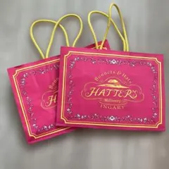 ジブリパーク　HATTER'S INGARY ショップ袋 2枚セット