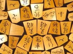 清峰作／清定書／御蔵島黄楊・根杢／彫駒／未使用／桐製平箱／駒箱