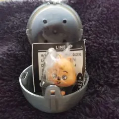 skzooつまんでつなげてますこっとでらっくす ハン ハンクォッカ