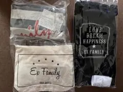 신품 미사용 EX Family ファンクラブ会員継続特典 バッグ ポーチ スリッパ