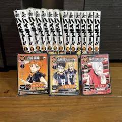 ハイキュー！！ショーセツバン！！ 1巻〜13巻◆集英社　カード3枚おまけ