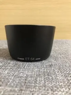 Item thumbnail for item 4a70d9bb-f81c-47ed-a74c-304b05af3ba9