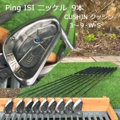 PING ISI ベリリウム ニッケル 10本 #2から＃9+W+S2 黒○ - メルカリ