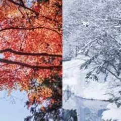 【使用数回】アイボリー✖️グリーン✖️ホワイト　チェック　マフラー