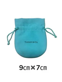 Item thumbnail for item b781a366-1b2a-4fd8-b741-458588342047