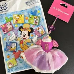 ✴︎新品未使用✴︎東京ディズニーリゾート ラプンツェル　携帯電話クリーナー