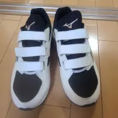 Item thumbnail for item 13f4fdfd-a302-4251-8a9f-d7b541f3ceba