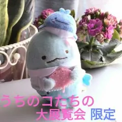 すみっコぐらし　うちのコたちの大展覧会　てのりぬいぐるみ　とかげ