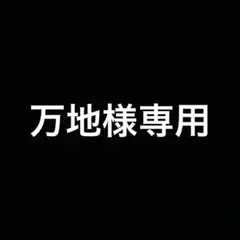 MONCLER 稀少半袖ポロシャツ スリムフィット ビッグワッペン 国内正規