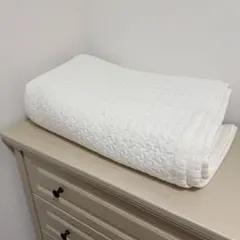 Item thumbnail for item 881bd92a-730e-415d-bd6d-ec3176d3f483