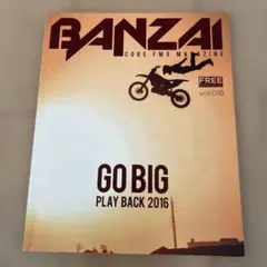 Item thumbnail for item 9098ac05-89df-4259-bd0e-467d796745dd