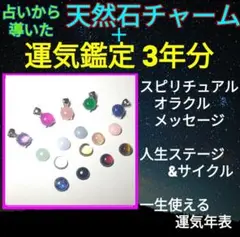 浄化済 天然石チャーム & 3年運気鑑定&今必要なメッセージ&一生運勢年表
