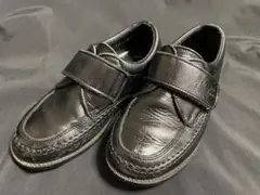 Item thumbnail for item 2e024196-33cf-483b-ae4d-ab6a5c218547