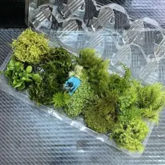 コケまる様 リクエスト 2点 まとめ商品