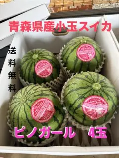 産地直送！訳あり小玉スイカピノ・ガール4玉甘くて美味しい箱込9キロ