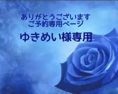 ゆきめい様専用/藤のブランコとシマエナガ　蓄光　オルゴナイトネックレス