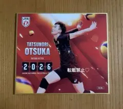 バレーボール日本代表 トレーディングmini色紙 大塚達宣 ノーマル ③