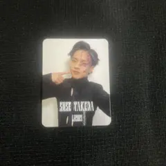 Lienel 武田創世 ミニトレカ