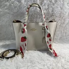 極美品　現行　コーチ　ショルダーバッグ　2way　モリー トート リボン付き