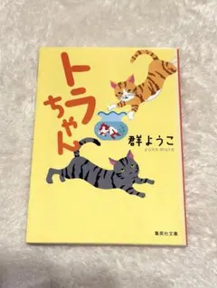 Item thumbnail for item 5ccbcfcc-ec82-4a17-a3af-535318e1721e