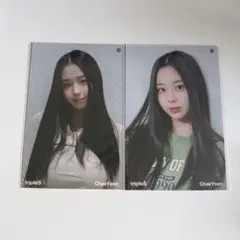 tripleS 엽서 채영
