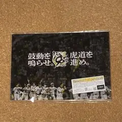 阪神タイガース 阪神 阪神くじ 90周年記念 アクスタくじ A4アクリルパネル