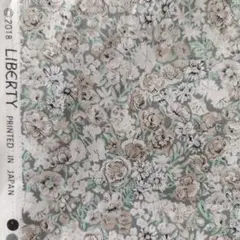 リバティ　生地　チビチビキッチン　チャイブ