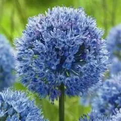 ヒロロ様 リクエスト 2点 まとめ商品