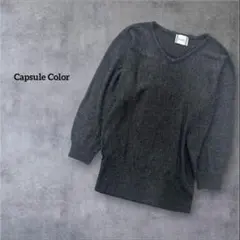 Capsule Color/カプセルカラー Vネック 長袖 ニット【L】しまむら