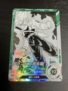 apt-015 R トランクス　アドバンスパック　ダイバーズ　②