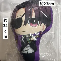 WIND BREAKER BIGクッション ウィンドブレイカー 蘇枋隼飛 - メルカリ
