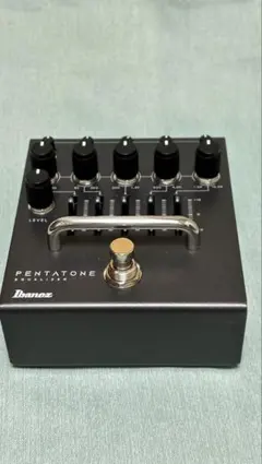 2026年最新】Pentatone ibanezの人気アイテム - メルカリ