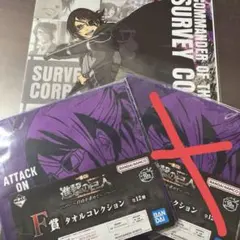 進撃の巨人 一番くじ ハンジ クリアポスター タオルコレクション