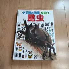 小学館の図鑑NEO 昆虫
