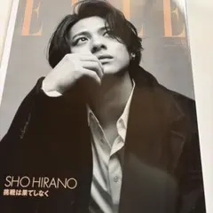 増刊 ELLE JAPON 特別版 2023年11月号 - メルカリ