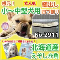小～中型犬用 エゾ鹿の角 根元 4半割り１本 北海道産 犬 おもちゃ 29117のサムネイル