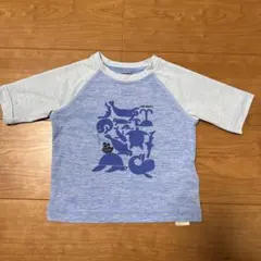 Patagonia ラッシュガード 動物プリント