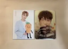 【まとめ売り】SEVENTEENディノトレカ