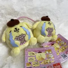 ラウンドワン限定 ポムポムプリン プリンのハッピールーティン BIG